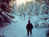 Im Winter holte er Weihnachtsbäume für die Leute der Umgebung