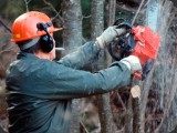 Sein Beruf aber, und seine Leidenschaft war der Wald