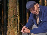 Fritz und der Wald